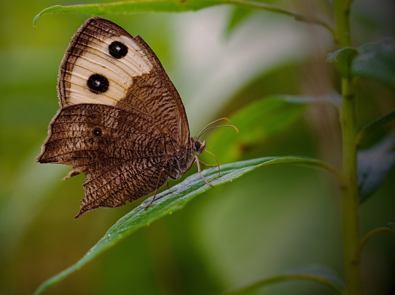 Railway AI 클라우드: AWS에 도전하는 AI 네이티브 인프라 분석 커버 이미지